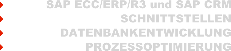 SAP ECC/ERP/R3 und SAP CRM
SCHNITTSTELLEN
DATENBANKENTWICKLUNG
PROZESSOPTIMIERUNG